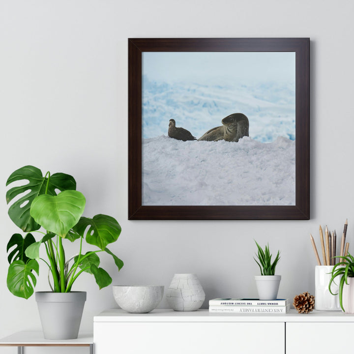 A Resting Pair - Framed Print - Visiting This World