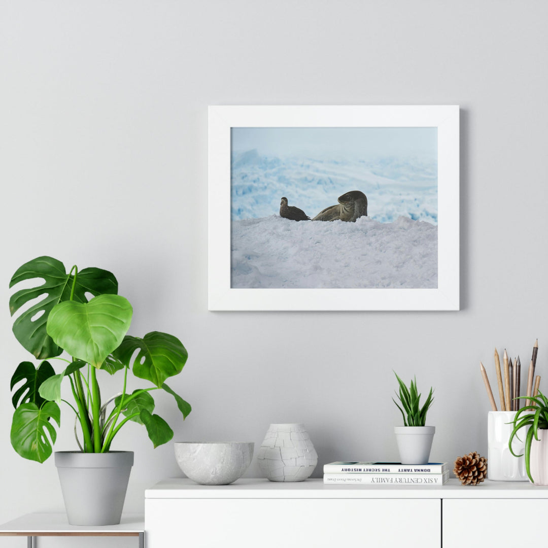 A Resting Pair - Framed Print - Visiting This World