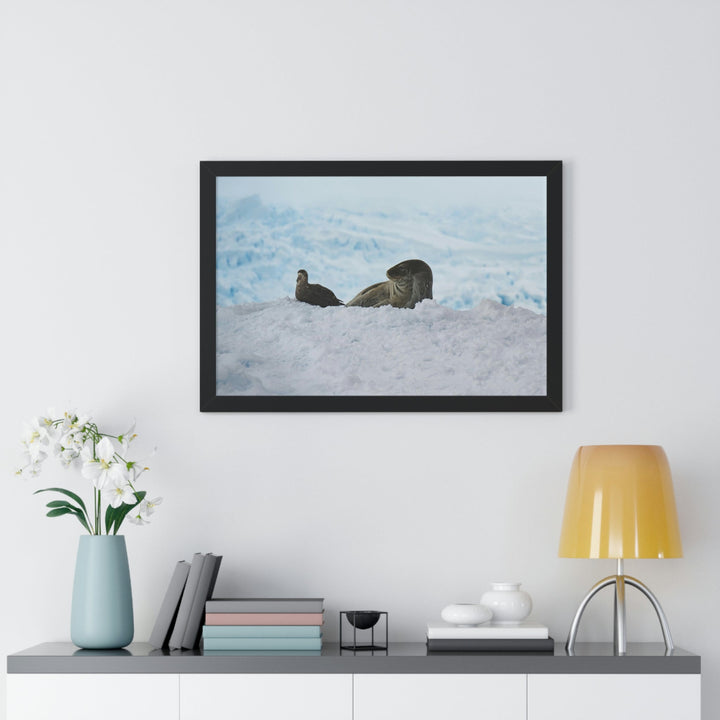 A Resting Pair - Framed Print - Visiting This World