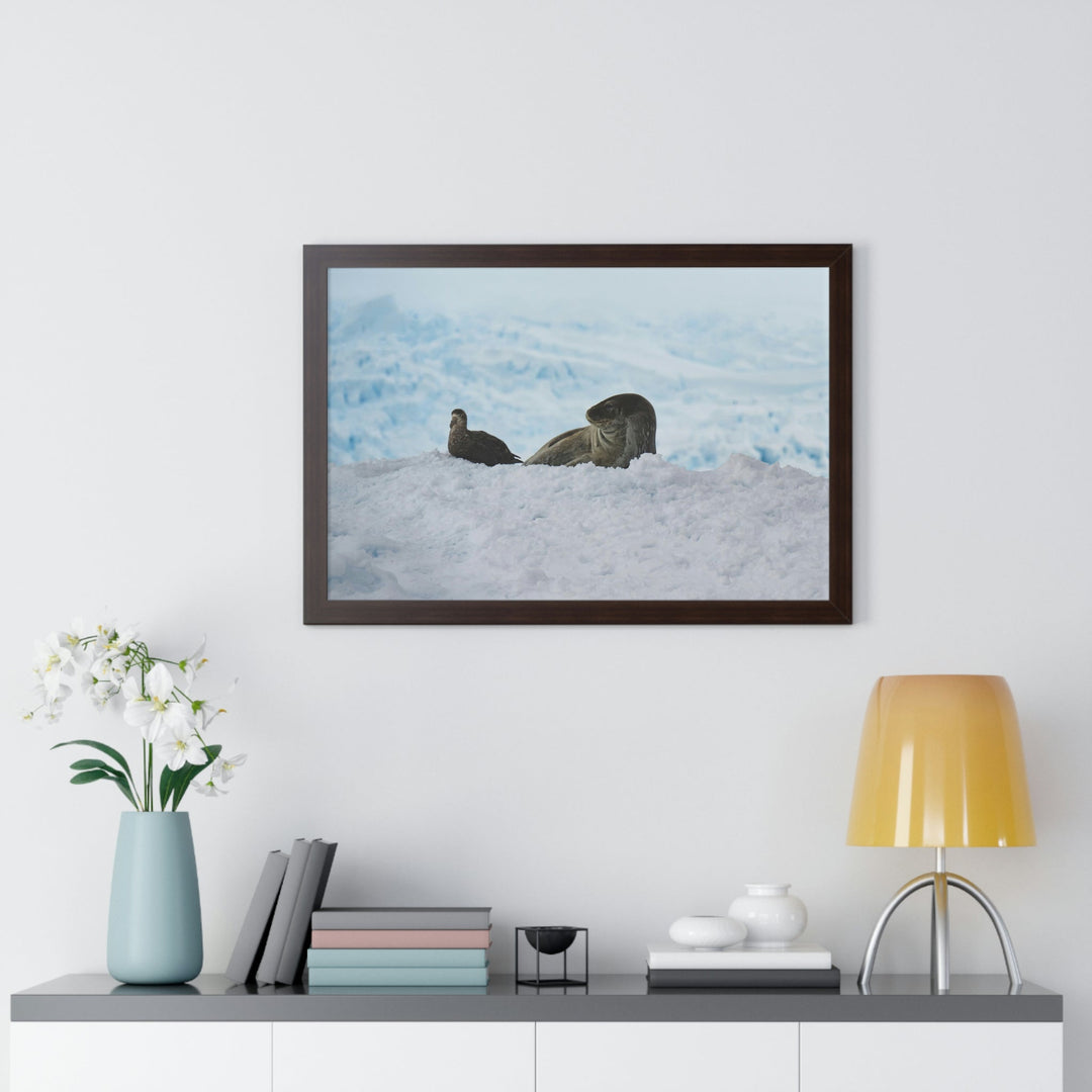 A Resting Pair - Framed Print - Visiting This World