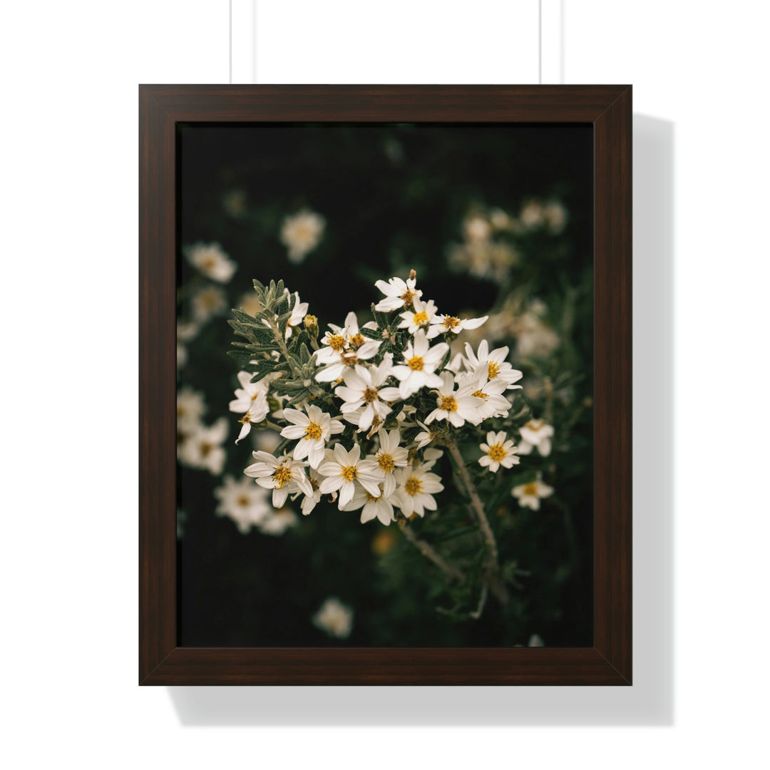 A Touch of White - Framed Print - Visiting This World