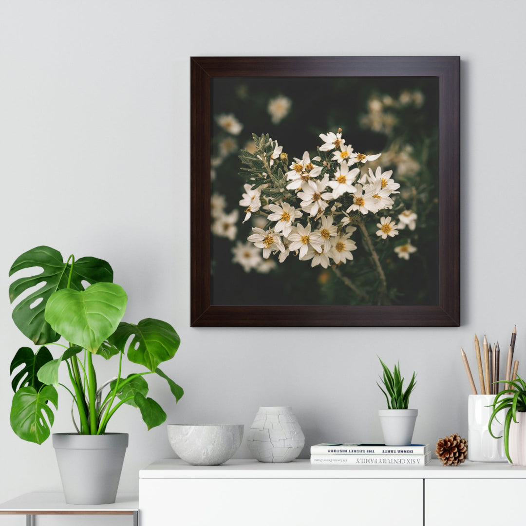 A Touch of White - Framed Print - Visiting This World