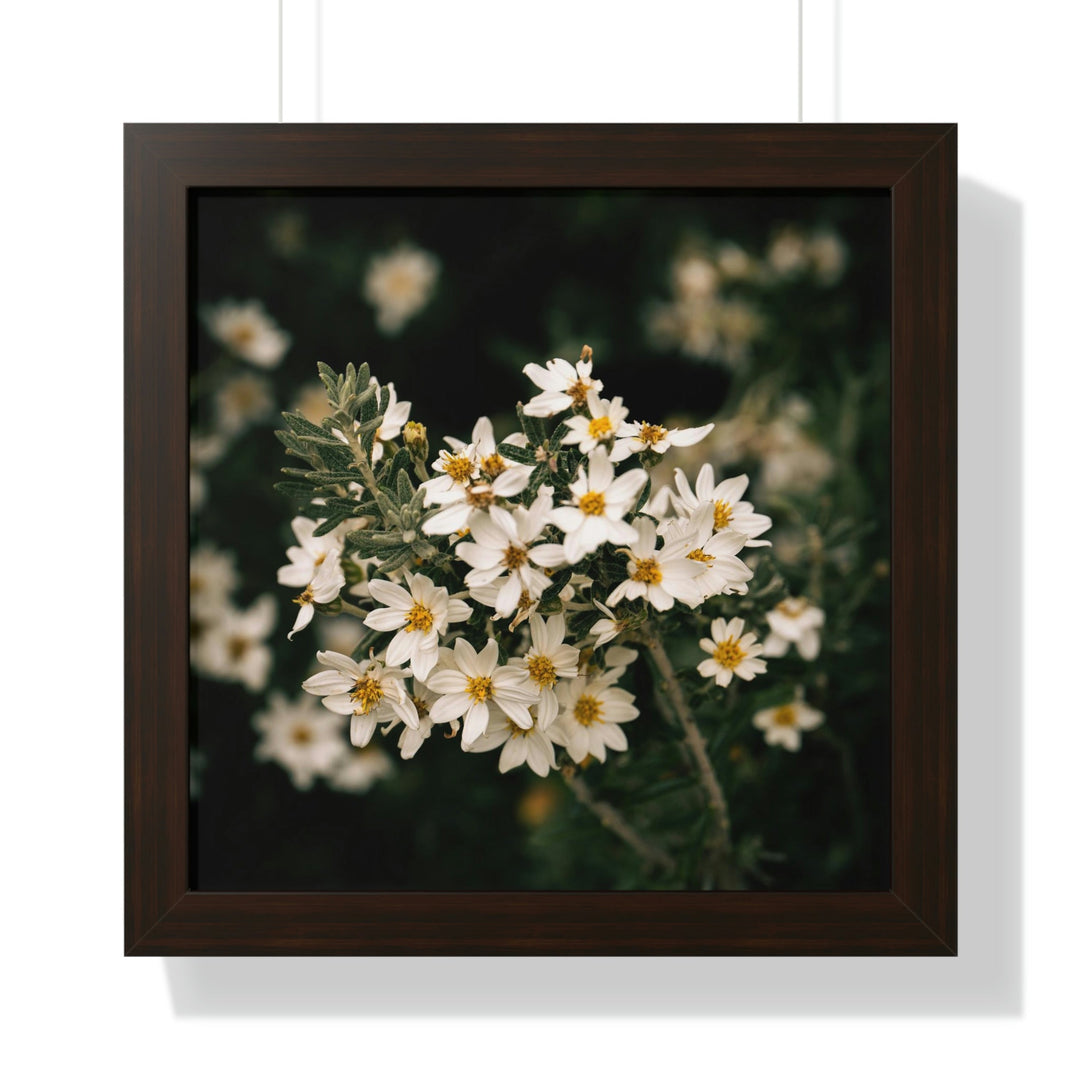 A Touch of White - Framed Print - Visiting This World