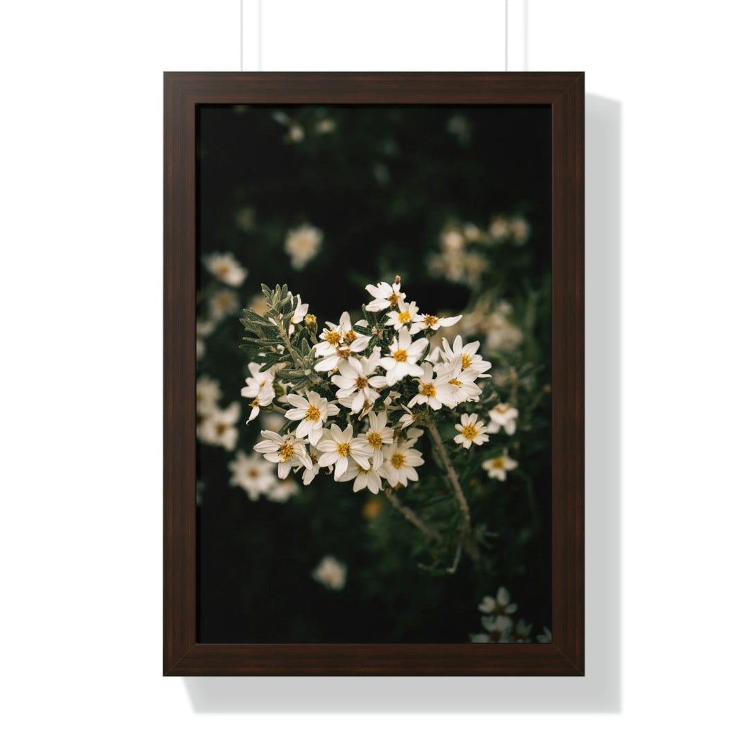 A Touch of White - Framed Print - Visiting This World