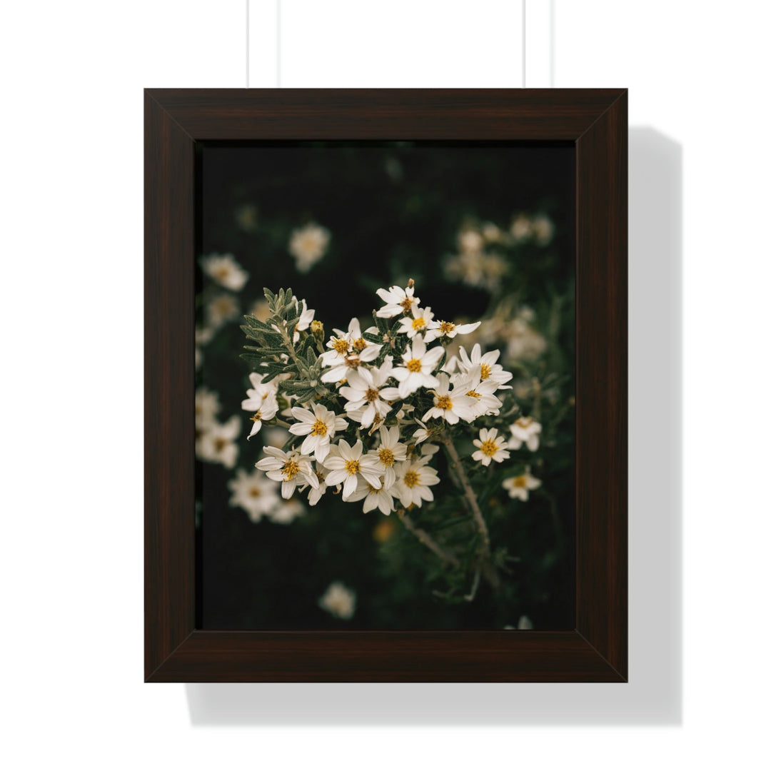 A Touch of White - Framed Print - Visiting This World