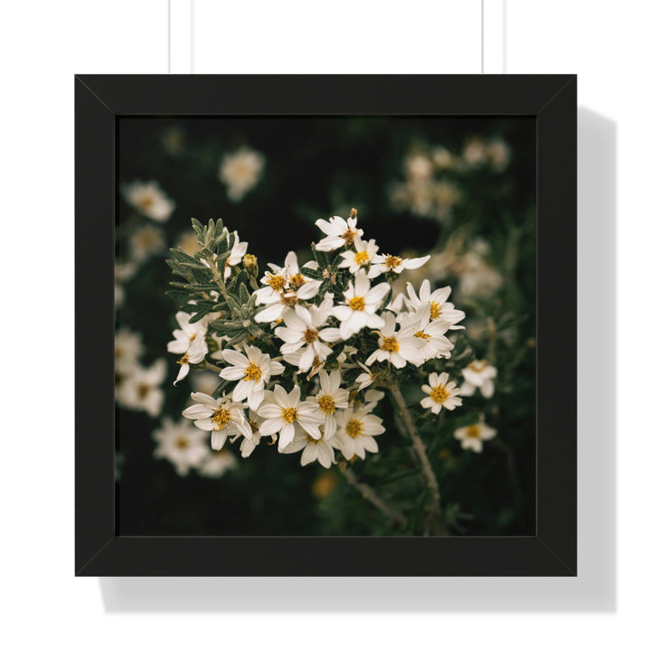 A Touch of White - Framed Print - Visiting This World