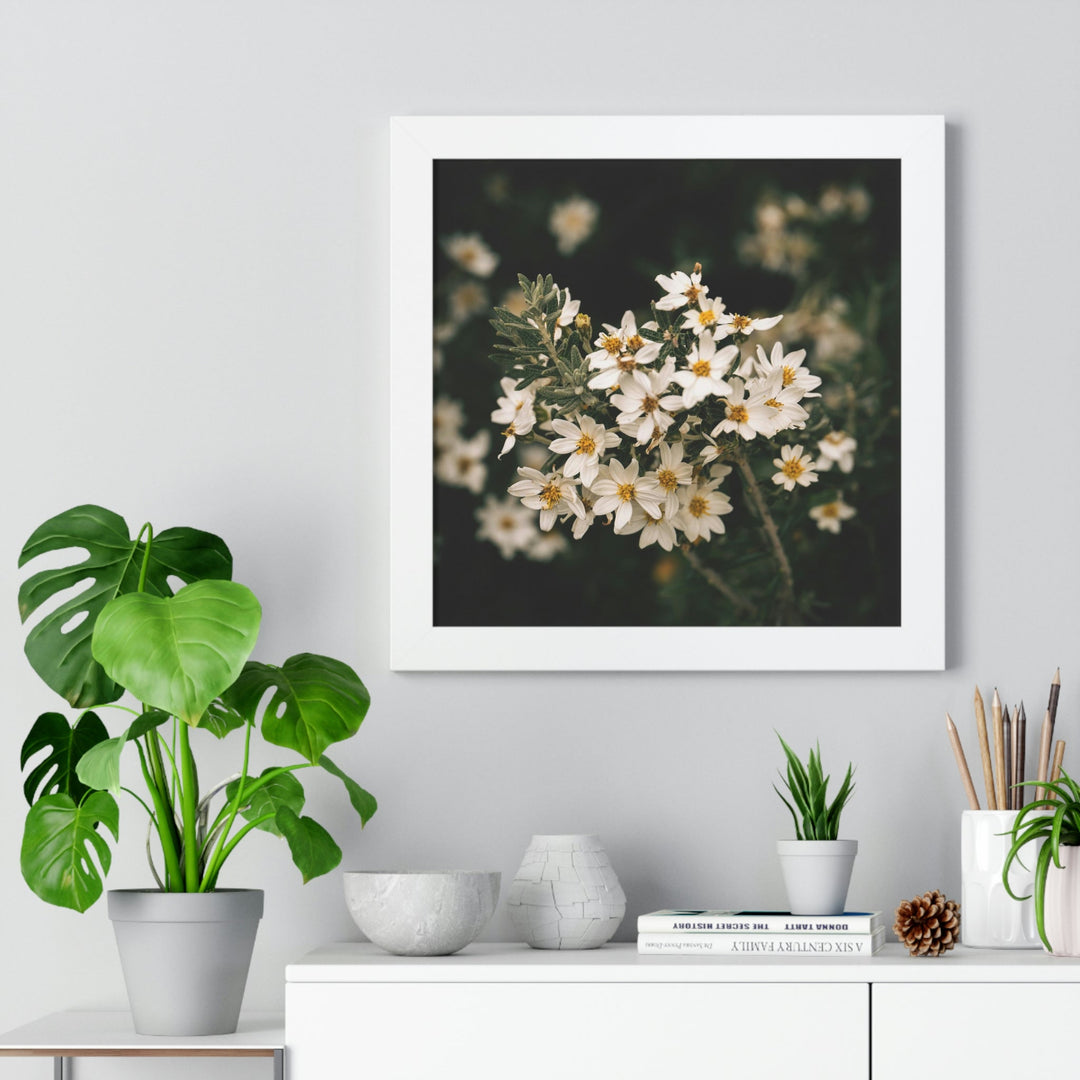 A Touch of White - Framed Print - Visiting This World