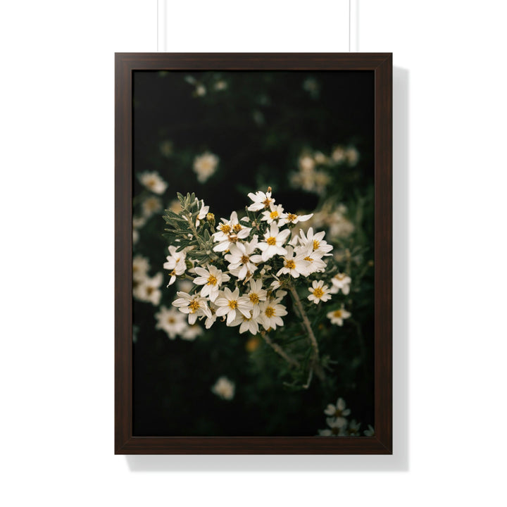 A Touch of White - Framed Print - Visiting This World