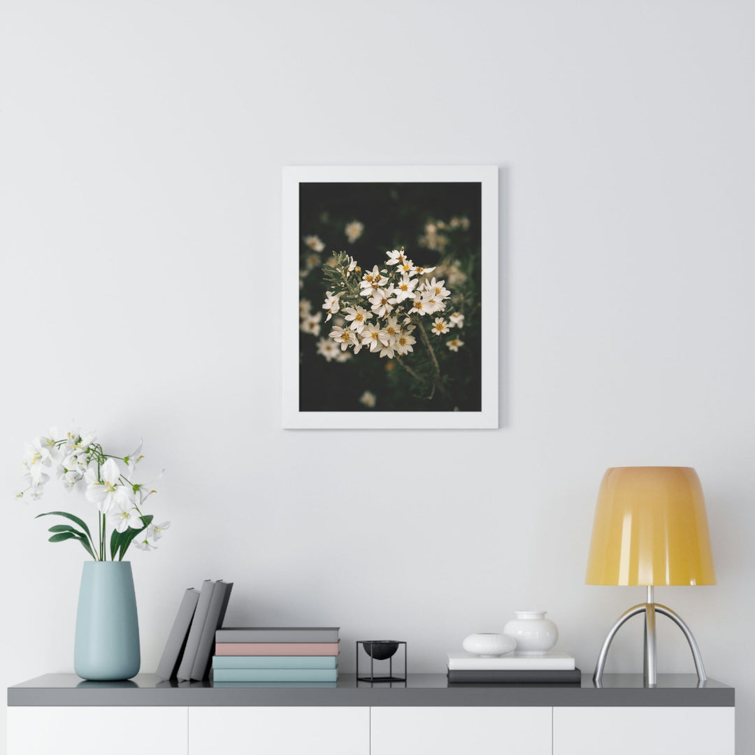 A Touch of White - Framed Print - Visiting This World