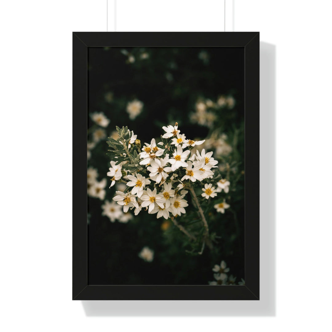 A Touch of White - Framed Print - Visiting This World