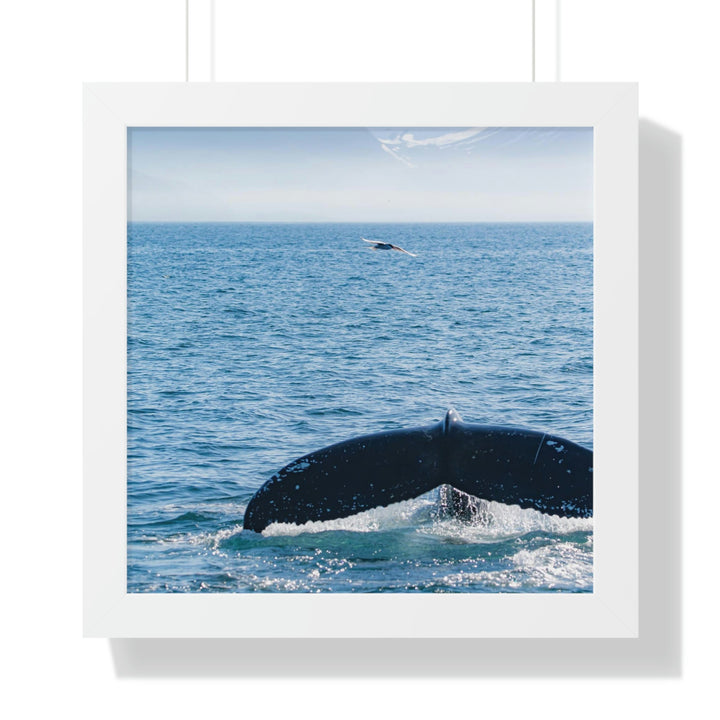 A Whale and A Mountain - Framed Print - Visiting This World