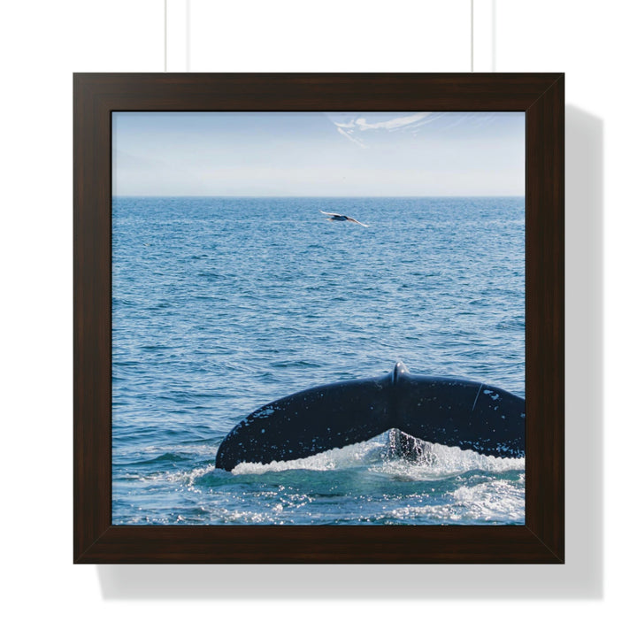 A Whale and A Mountain - Framed Print - Visiting This World