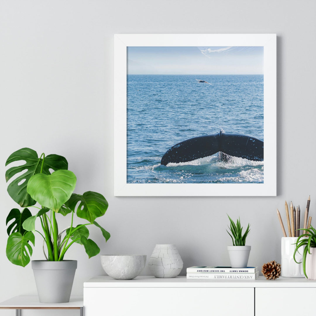 A Whale and A Mountain - Framed Print - Visiting This World