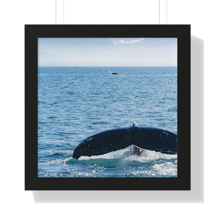 A Whale and A Mountain - Framed Print - Visiting This World