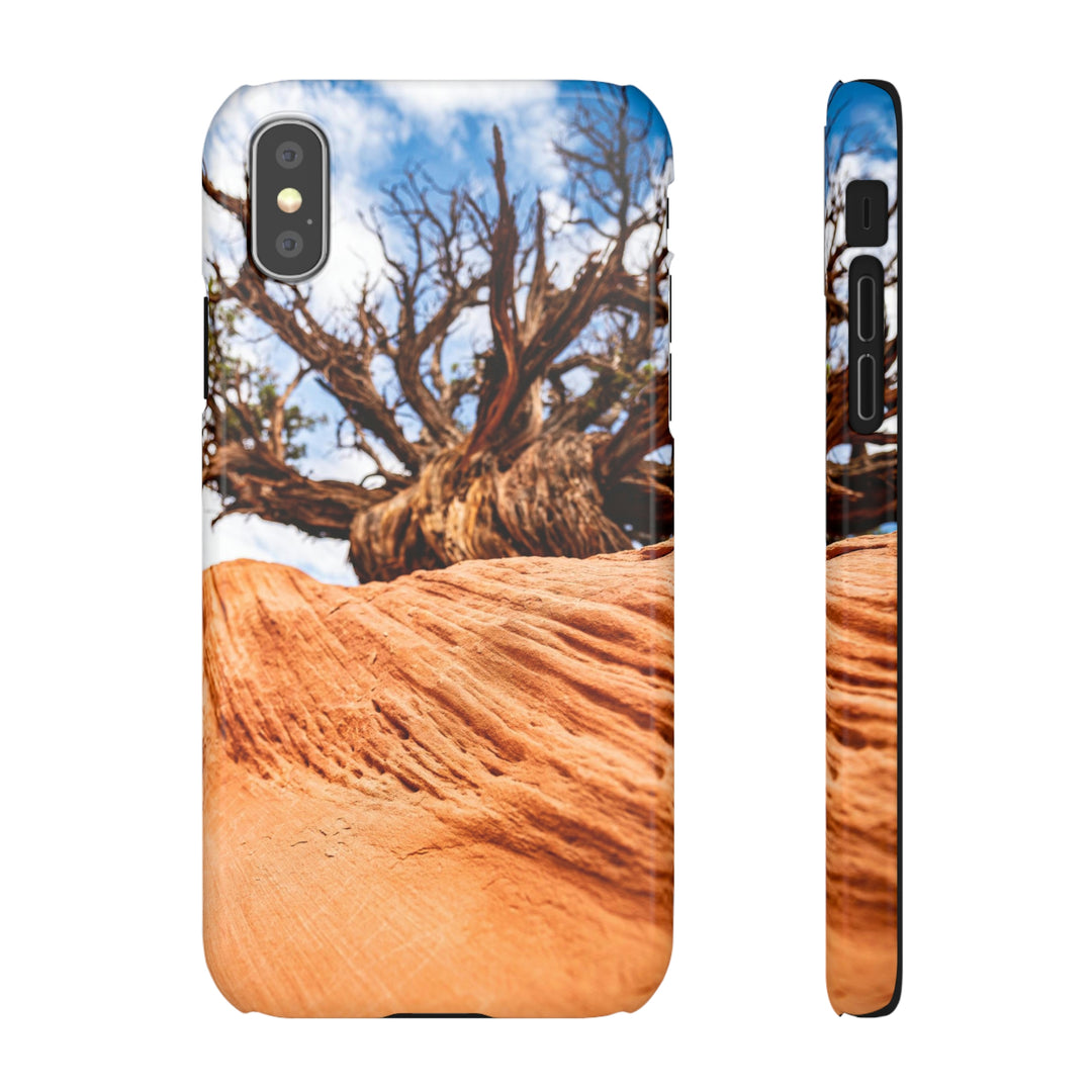 Desert Reach - Phone Case