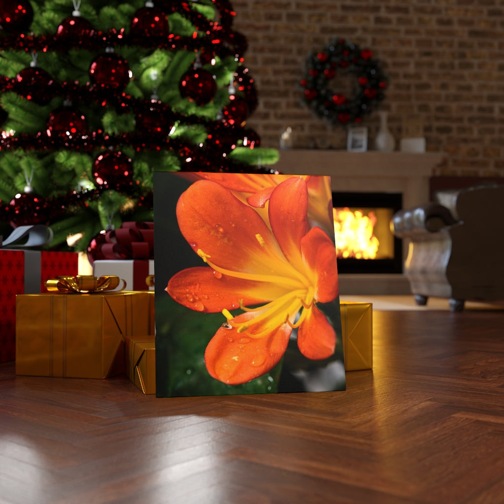 Bright Bush Lily - Canvas