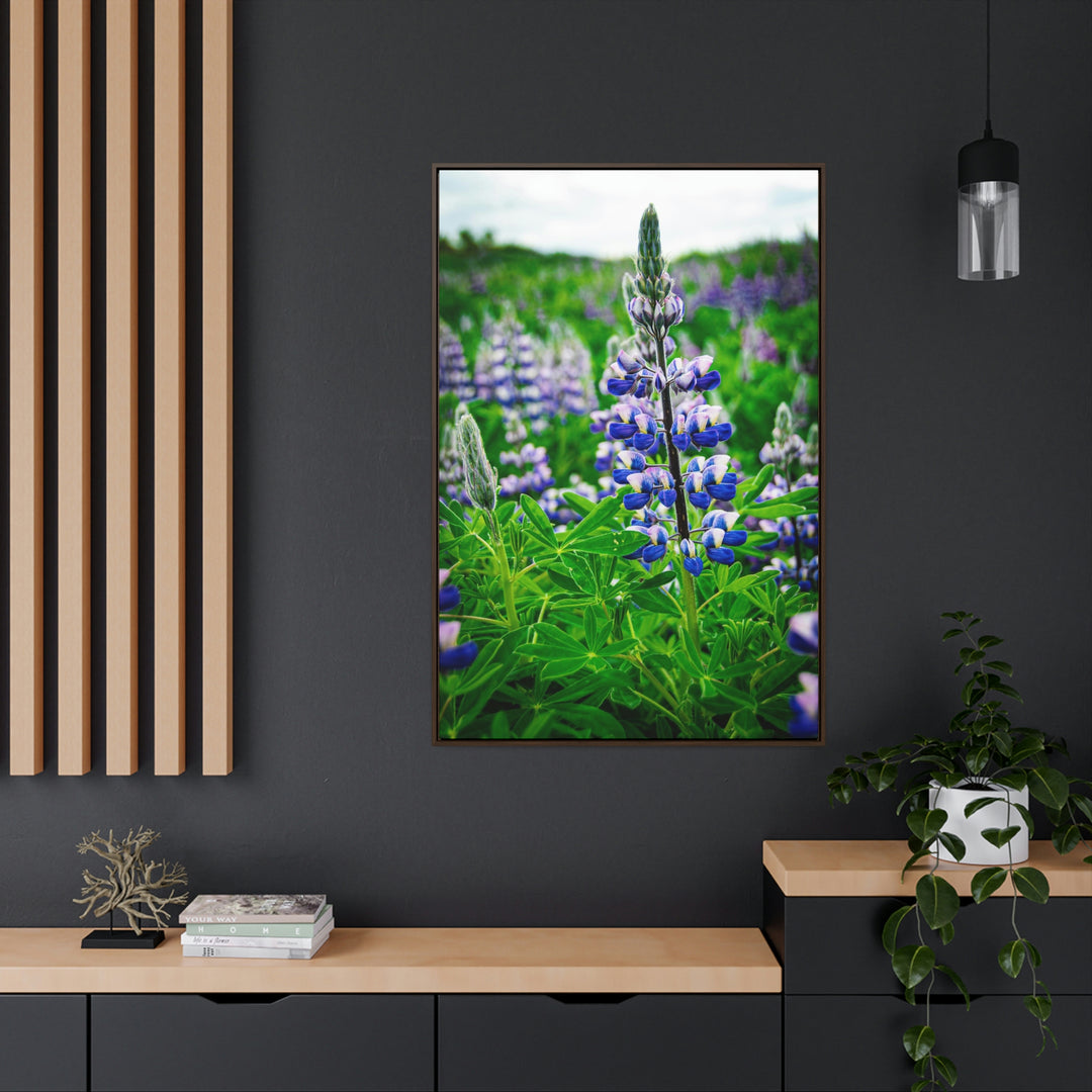 Glowing Lupin - Canvas with Frame