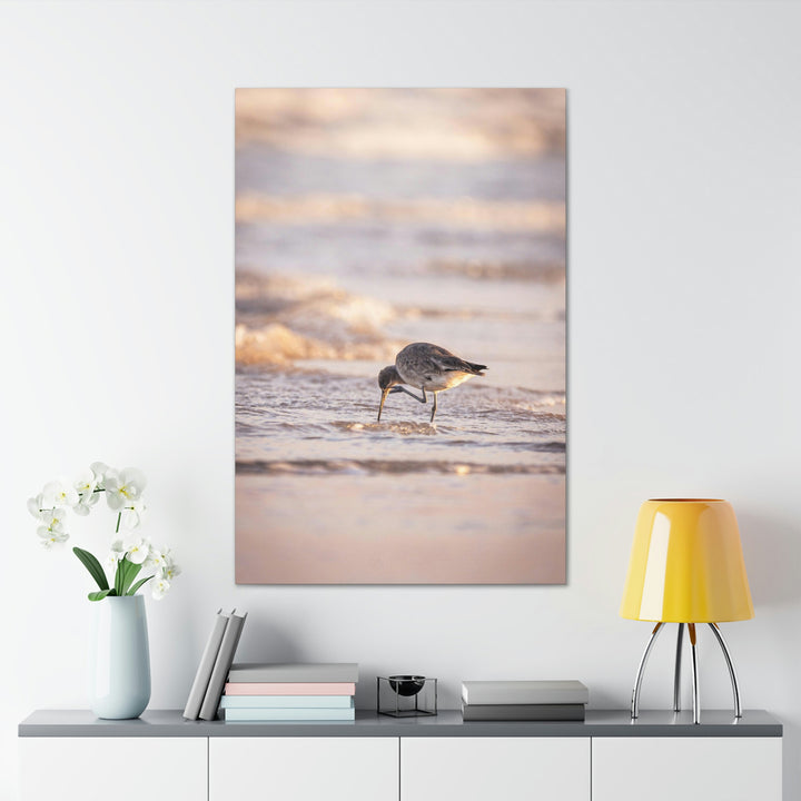 Willet Itch - Canvas