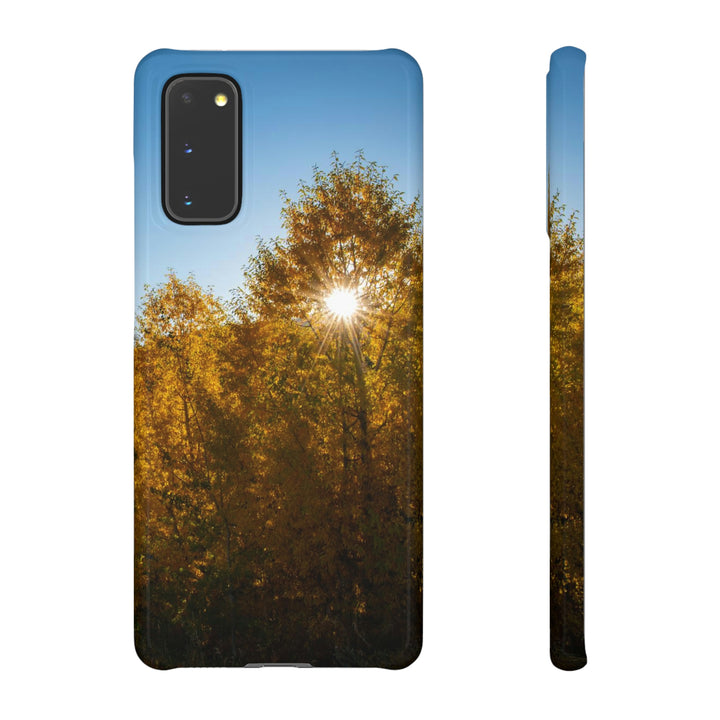 Sun Through the Aspens - Phone Case