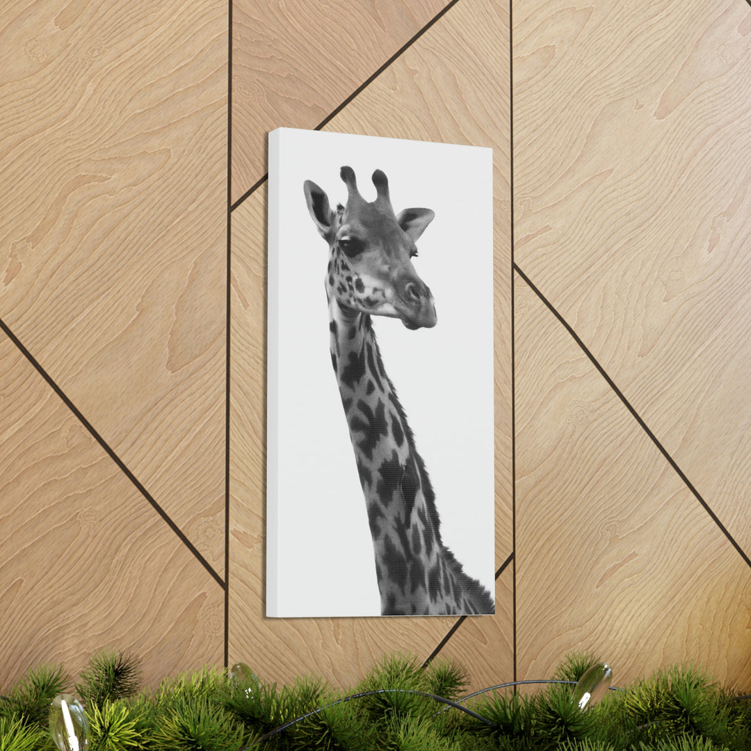 Giraffe Portrait in Black and White  - Canvas