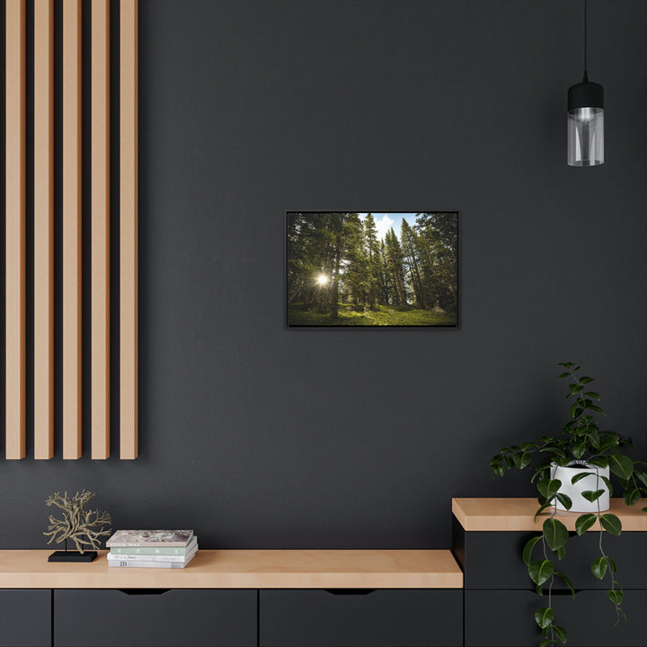 Forest Light - Canvas with Frame