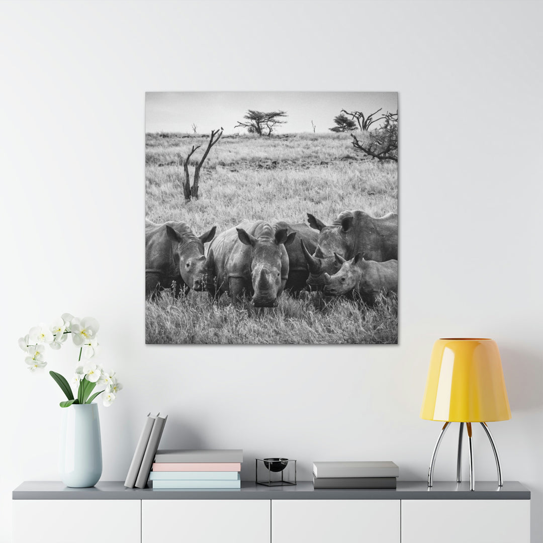 Rhino Family in Black and White - Canvas