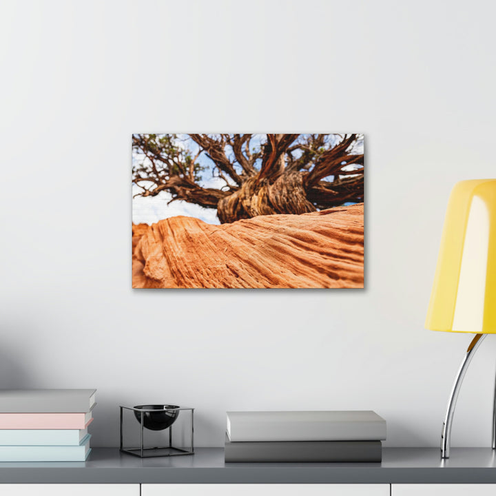 Desert Reach - Canvas