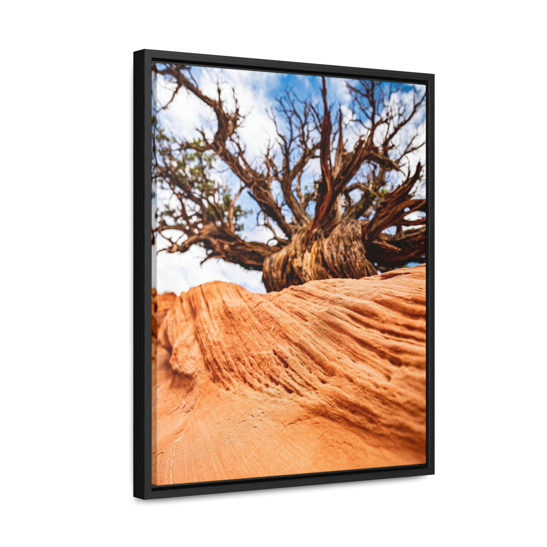 Desert Reach - Canvas with Frame