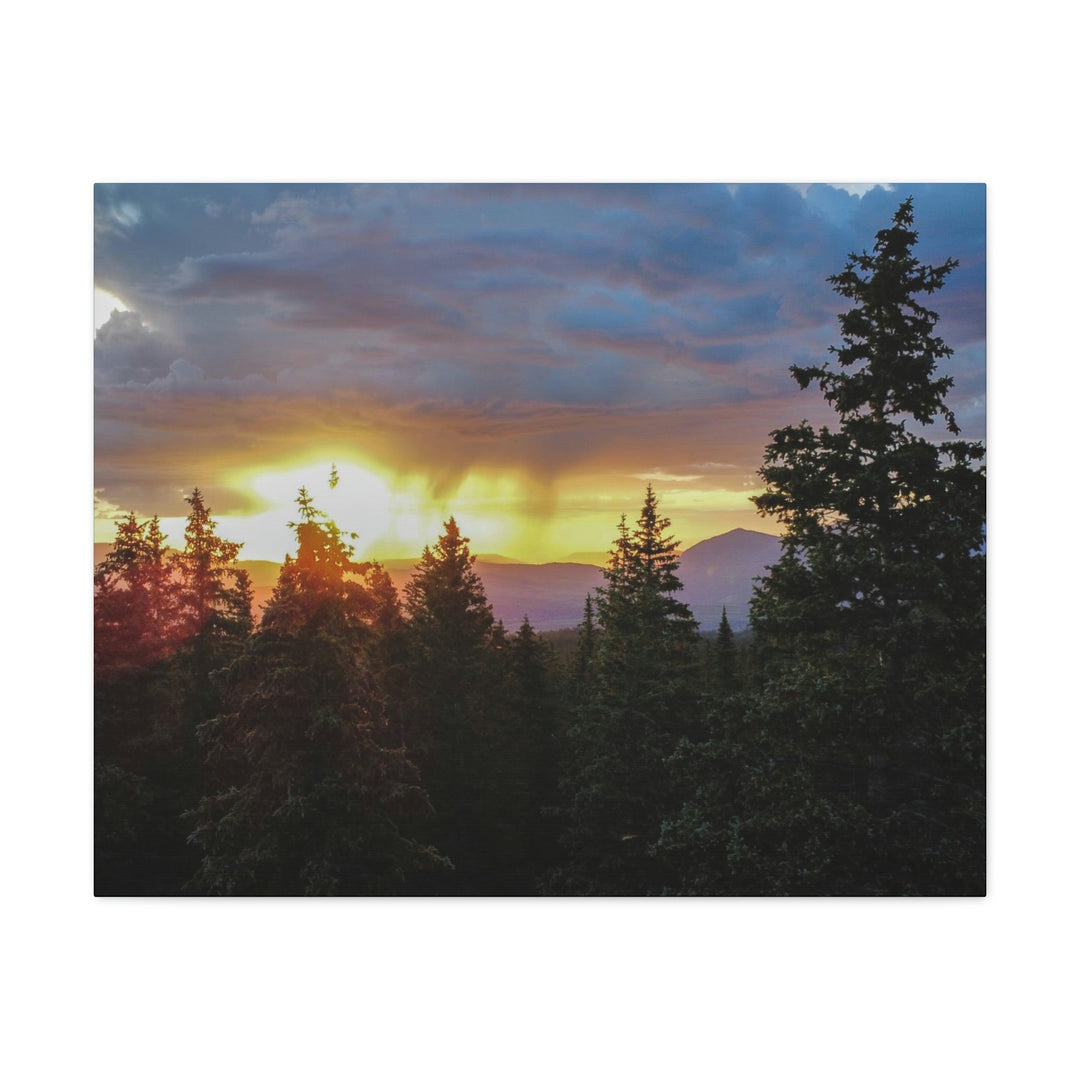 Rainy Sunset Through the Trees - Canvas