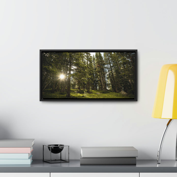 Forest Light - Canvas with Frame