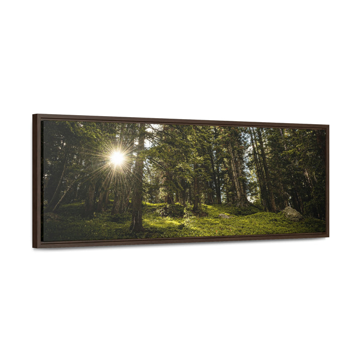 Forest Light - Canvas with Frame