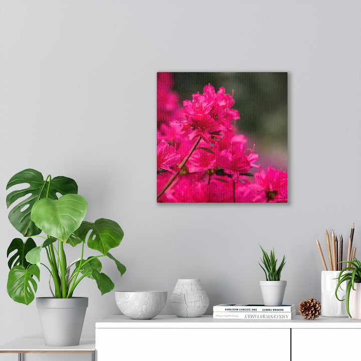 Full Bloom - Canvas