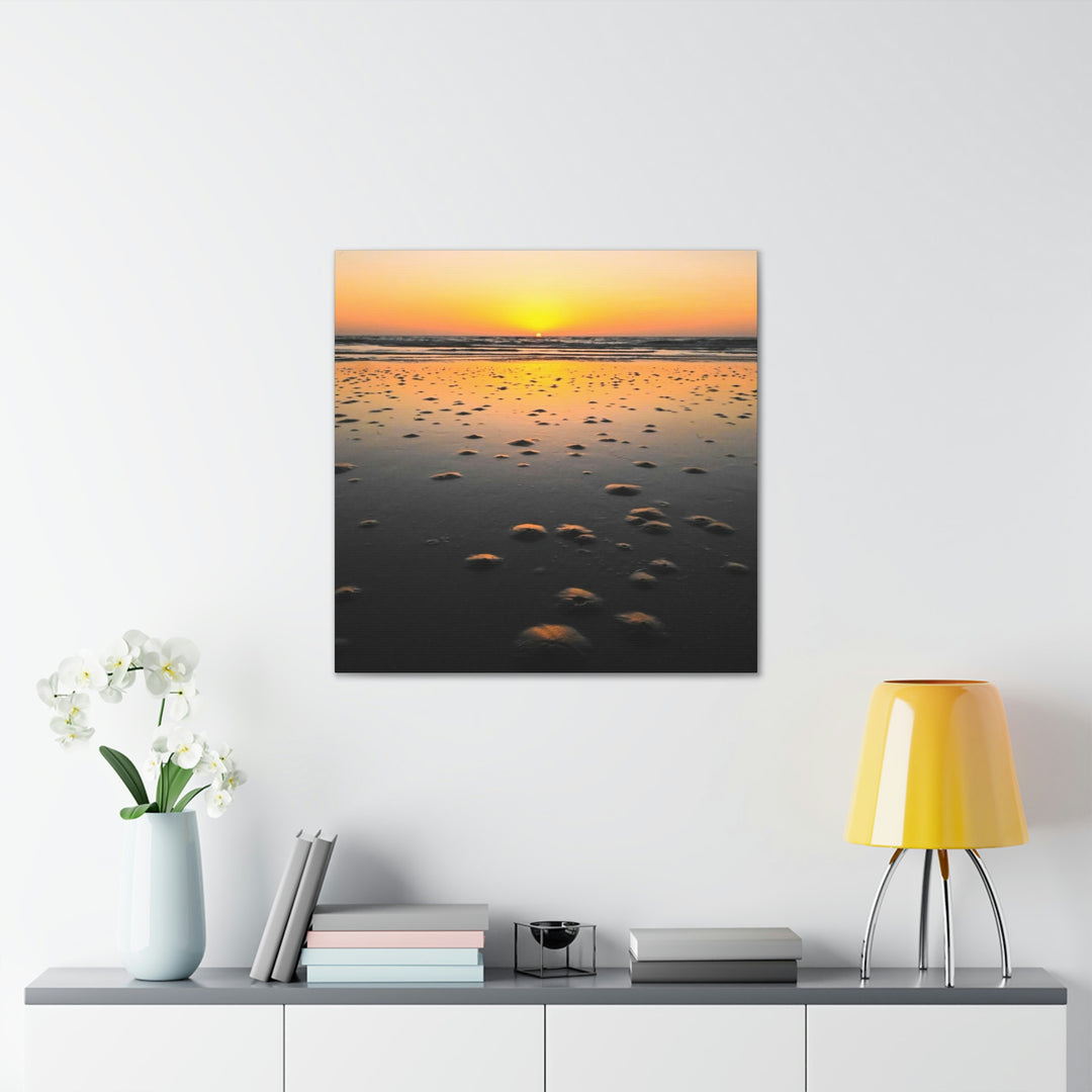 Burrows at Sunrise - Canvas