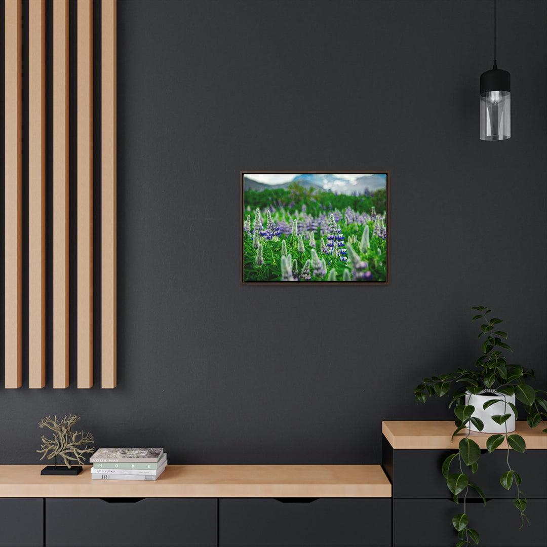 Glowing Lupin with Mountains - Canvas with Frame