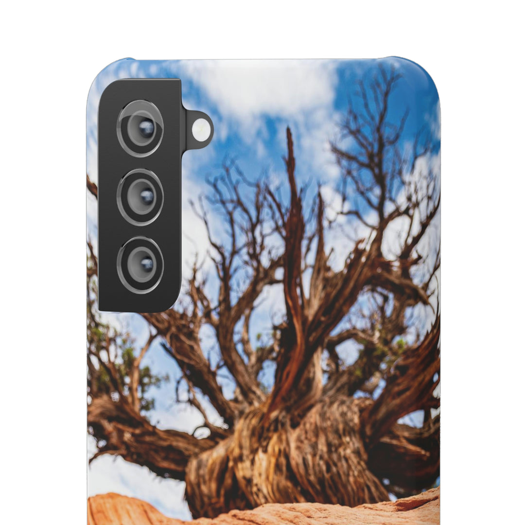 Desert Reach - Phone Case