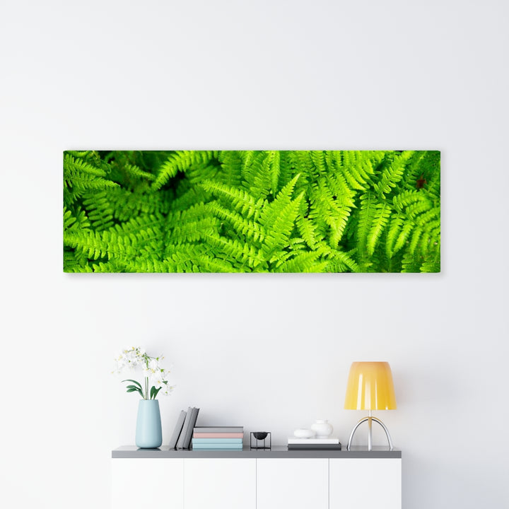 Ferns, Ferns, Ferns - Canvas