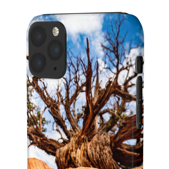 Desert Reach - Phone Case