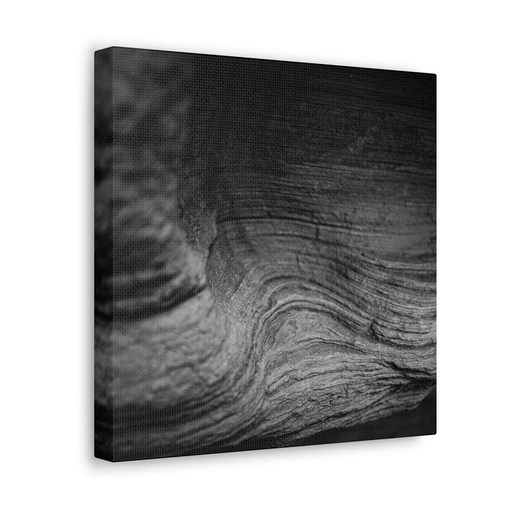 Sedimentary Rock Curves in Black and White - Canvas