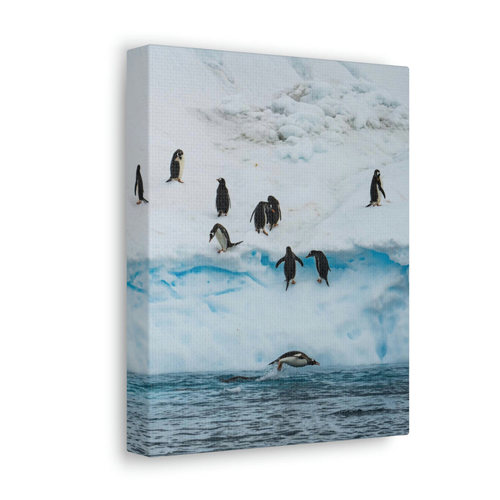 Porpoising Penguin - Canvas