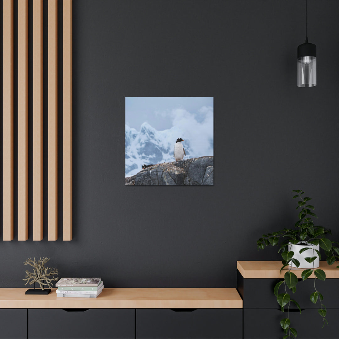 Poised Penguin - Canvas