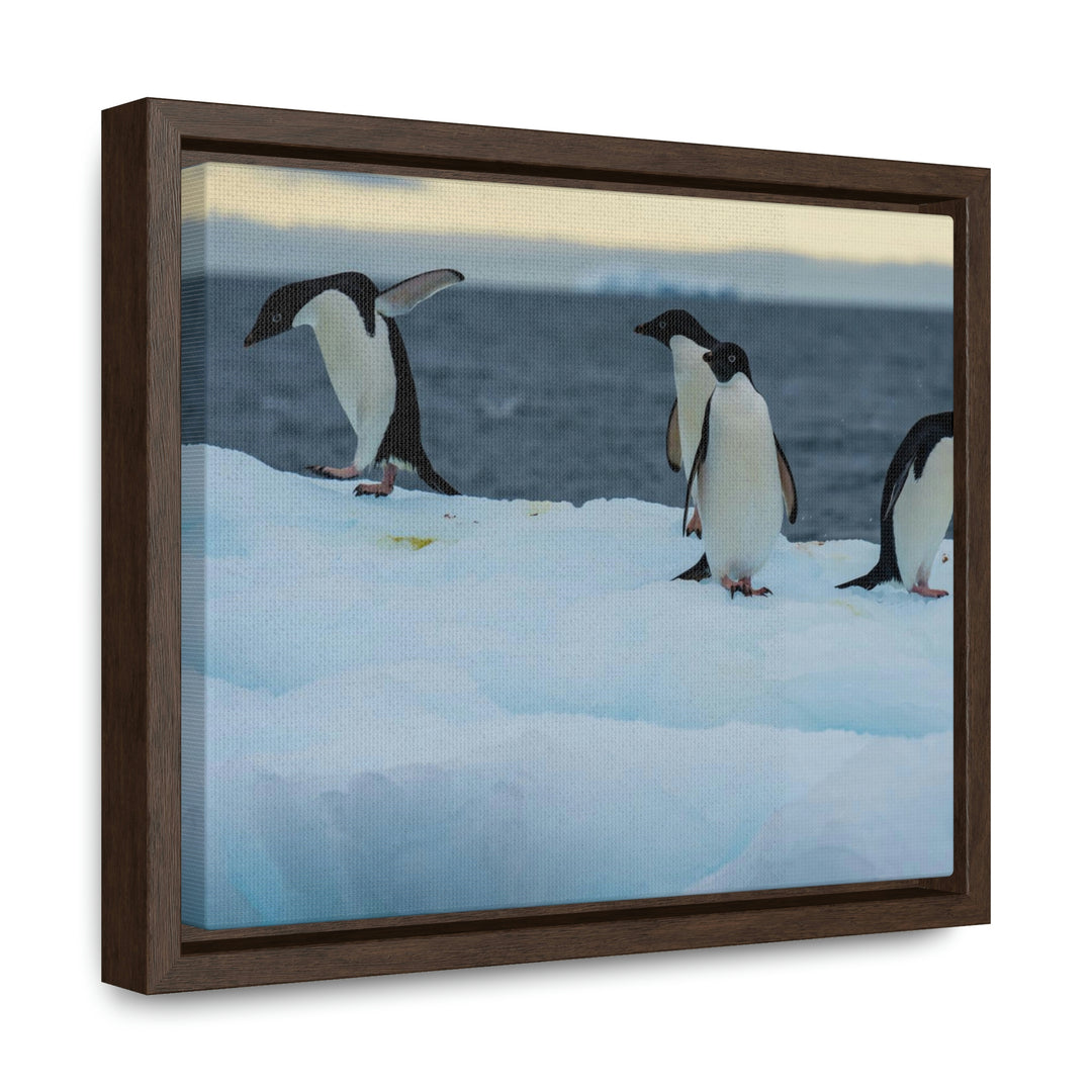 Penguin Dance - Canvas with Frame