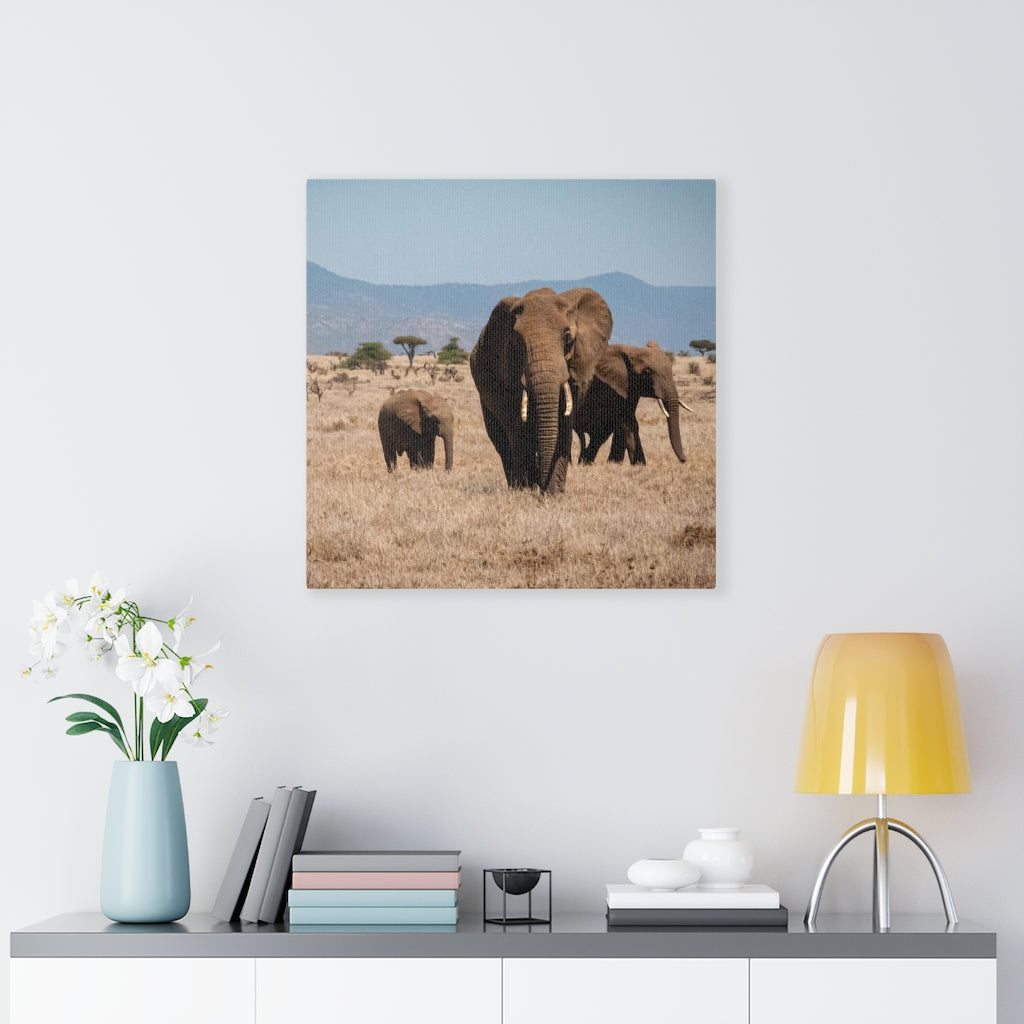 Family March - Canvas