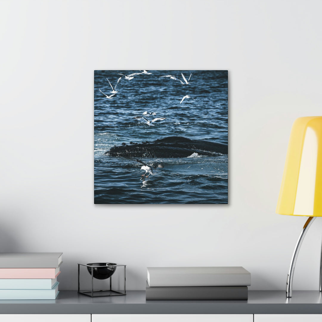 Humpback Hello - Canvas