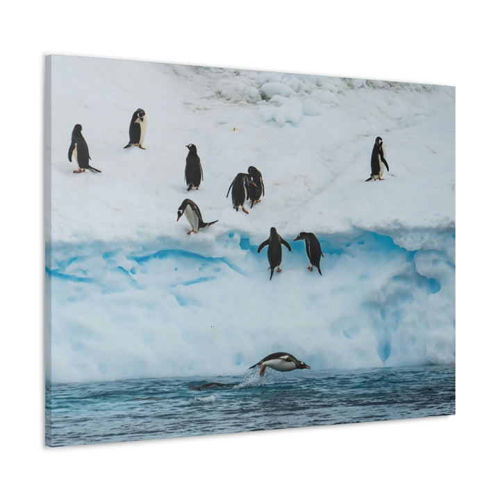 Porpoising Penguin - Canvas