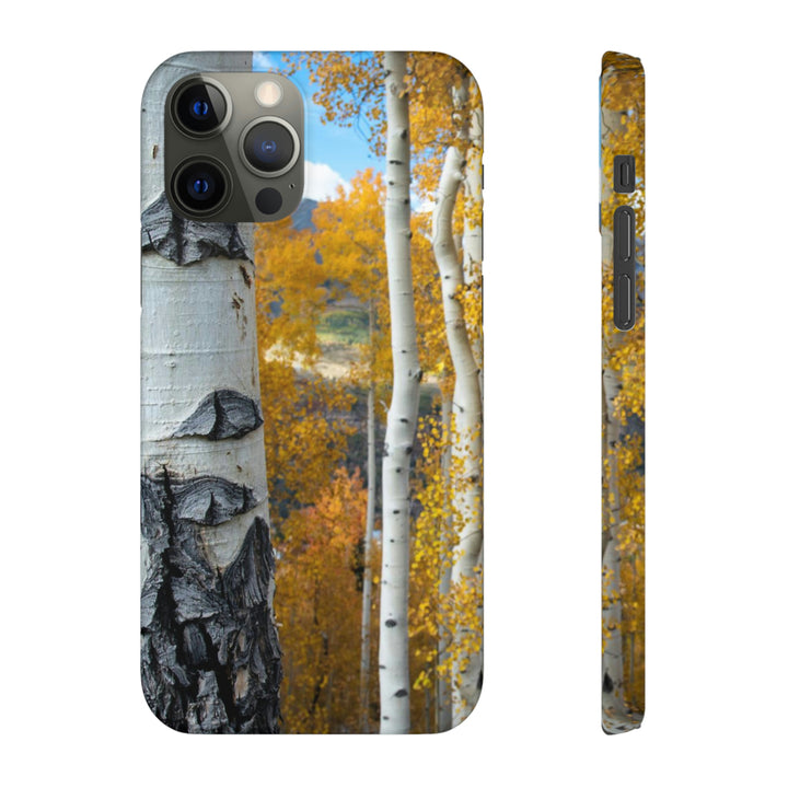 Aspens Changing - Phone Case