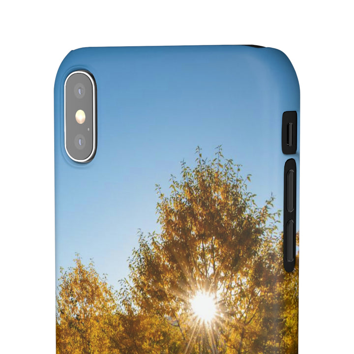 Sun Through the Aspens - Phone Case