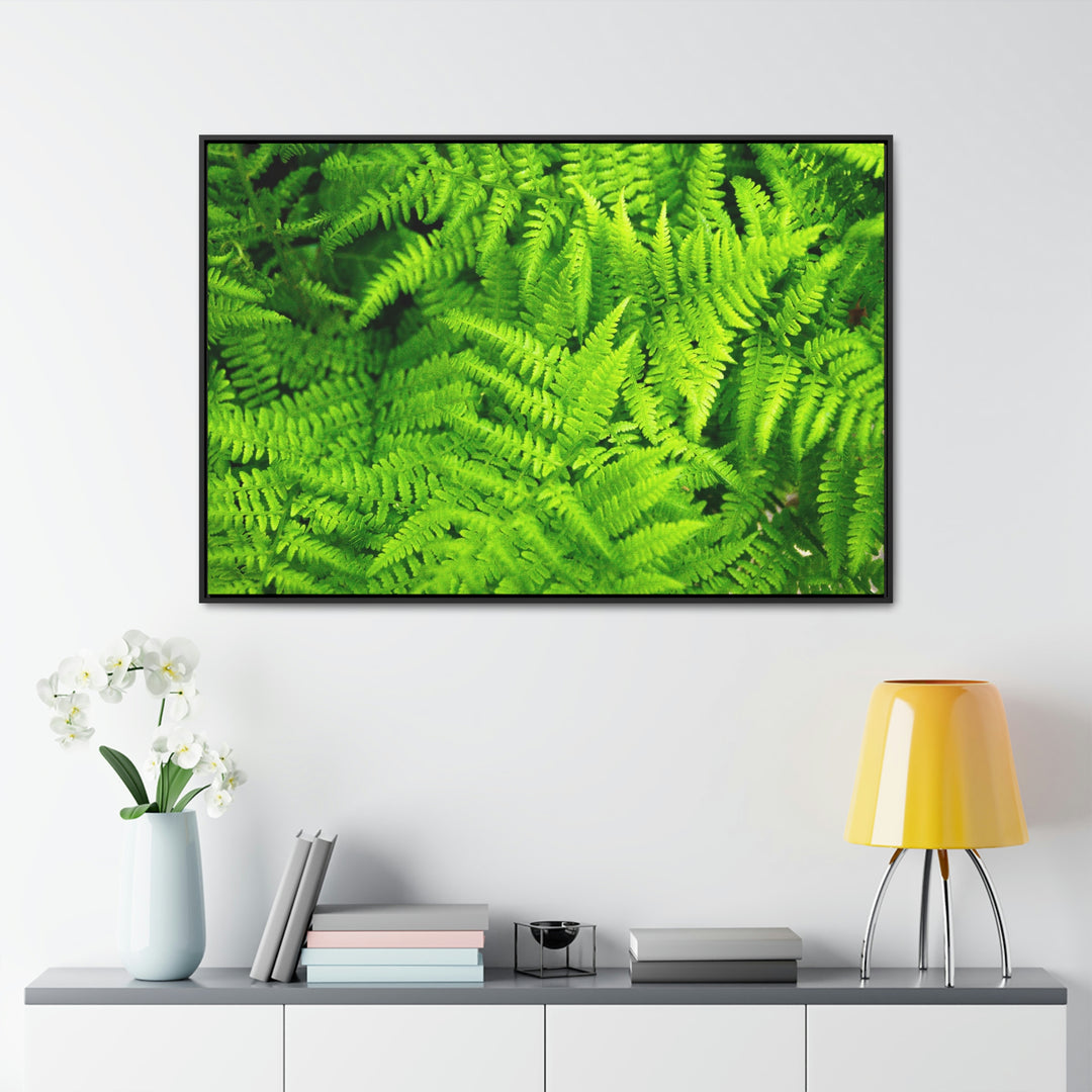 Ferns, Ferns, Ferns - Canvas with Frame