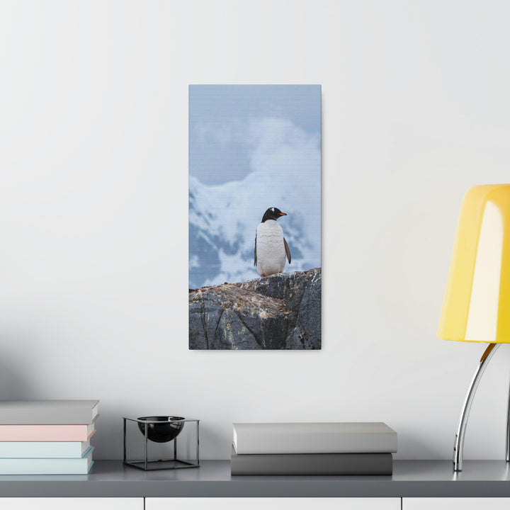 Poised Penguin - Canvas