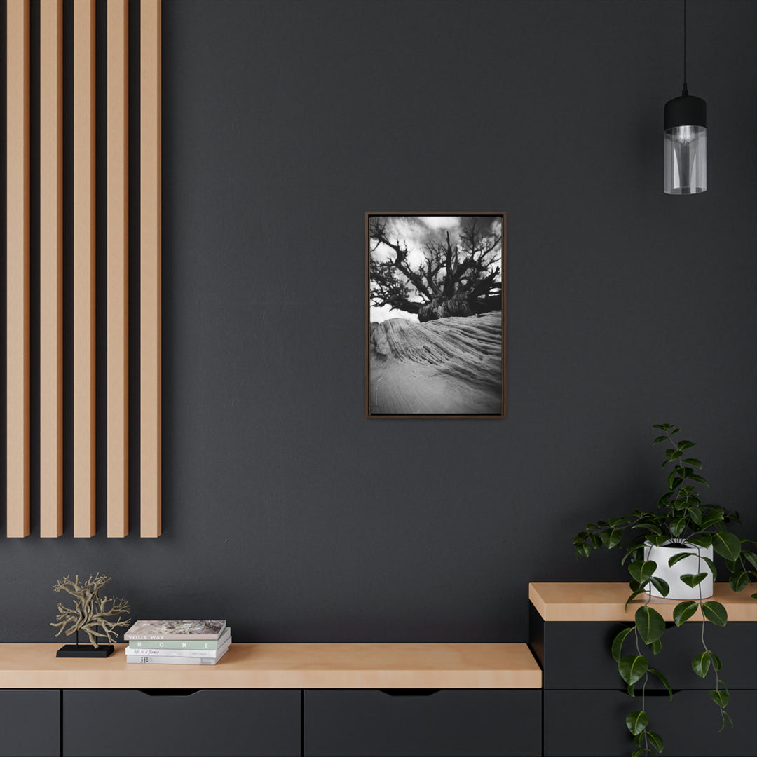 Desert Reach in Black and White - Canvas with Frame