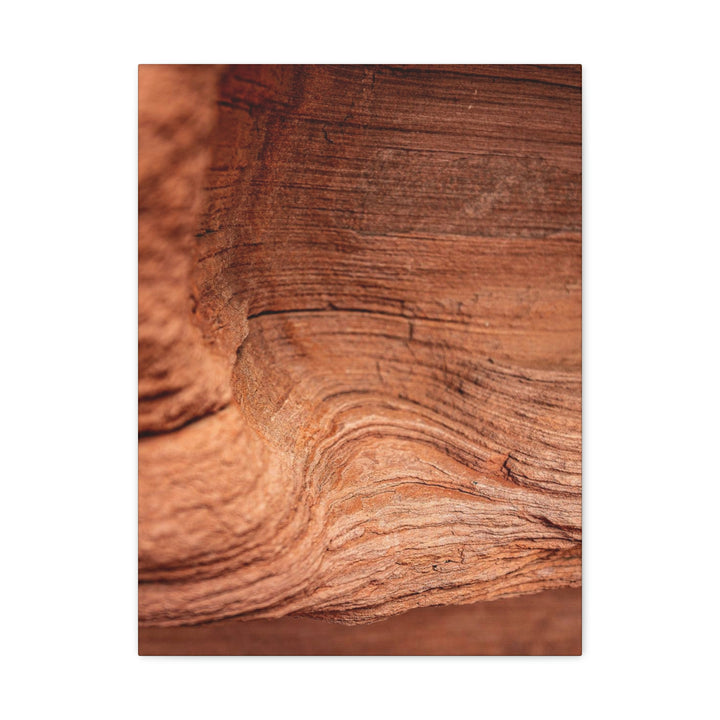 Sedimentary Rock Curves - Canvas